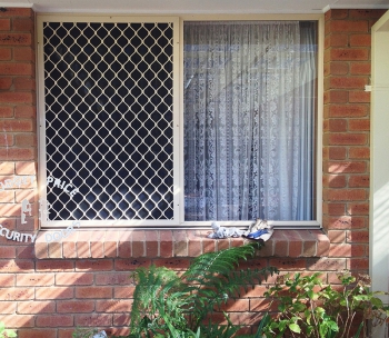 Diamond Grille Security Window