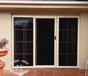 Stainless Steel Security Door With Two Panels