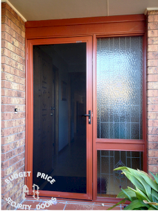 Stainless Steel Security Door With Single Panel